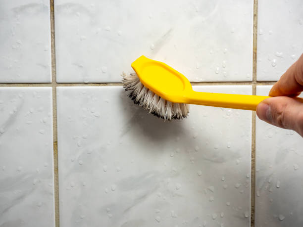 Best Insurance-Related Mold Remediation in Rockville, IN