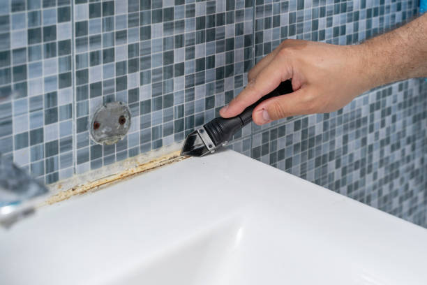 Best Localized Mold Remediation (e.g., coastal areas, humid climates) in Rockville, IN
