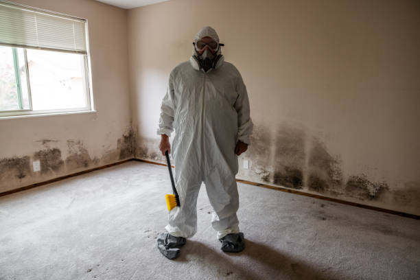 Best Mold Remediation for Specific Building Types in Rockville, IN
